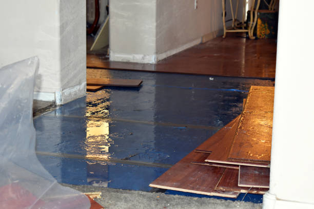 Professional Burst Pipe Water Damage technician working in Bloomville, OH